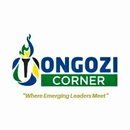 ''Where Emerging Young Leaders Meet'' - Grooming the next generation of African Leaders .