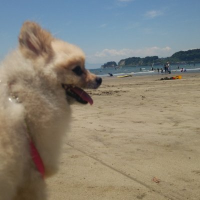 ayuuucoco's profile picture. 