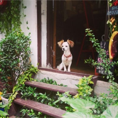 Willowwang20's profile picture. A manufacturer and supplier of kinds of metal crafts.
Like challenge coins, bottle opener, pins, medals and so on.
Contact us
Email: rh8@renhuinetal.com