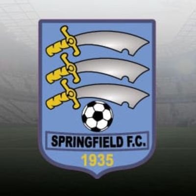 Official twitter account of springfield fc girls under 15's.