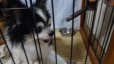 主は馬鹿なので、前のネタを貼り付ける場合があります。フォロー返します!ご自由にフォローしてください