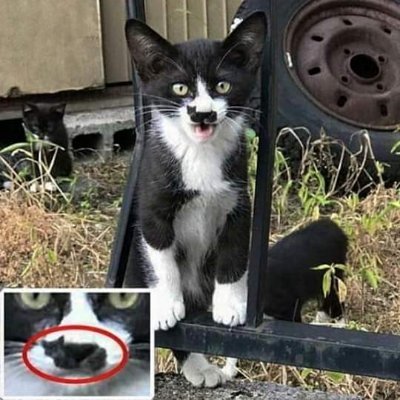 cabina42865765's profile picture. sotero interes mujeres