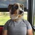 zick (@mrpooniis) Twitter profile photo zick (@mrpooniis) Twitter profile photo
