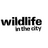 WildlifeinCity's profile image