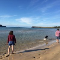 Penny ScottSLT (@penpenscott) 's Twitter Profile Photo Penny ScottSLT (@penpenscott) 's Twitter Profile Photo