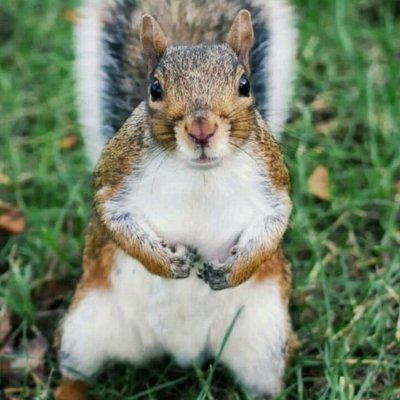 SamAyo45740244's profile picture. 𝑰 𝒂𝒎 𝒑𝒐𝒔𝒊𝒕𝒊𝒗𝒆 𝒂𝒃𝒐𝒖𝒕 𝒍𝒊𝒇𝒆.