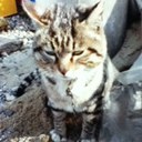 Jae Hee Sim - @marsais - Twitter