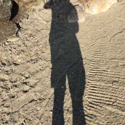 BrammallRoy's profile picture. Typical cantankerous old git. See my tweets for further information.