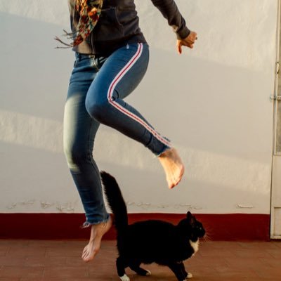 silkegb's profile picture. Attitude, not aptitude, determines altitude.