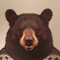 . (@beechtree_) 's Twitter Profile