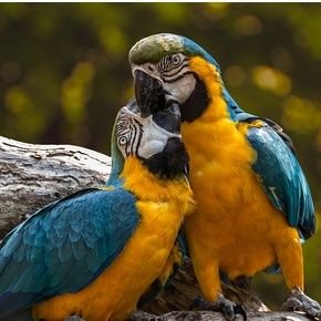 jjsuarez's profile picture. ingeniero civil  UC