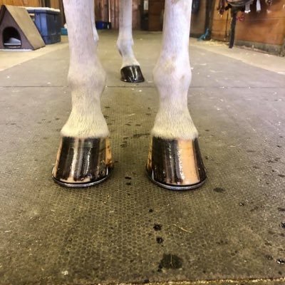 MiracleHoofOil_'s profile picture. Love inspires. Entrepreneur, Writer, Lover, Peace seeker, Pizza Eater 🍕🐴