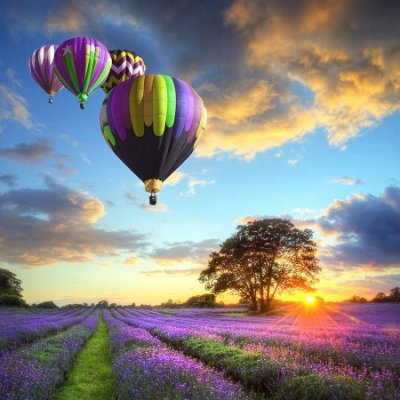 __tahayyul_'s profile picture. 