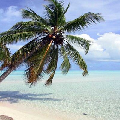 Jean Mascré profile photo