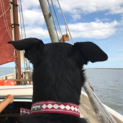 bexthebarge Profile Picture