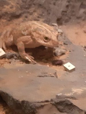 Mohamed49593589's profile picture. 