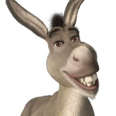 O BURRO Do SHREK