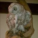 Joseph Biro - @JoeyB25 - Twitter