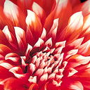 catherine beasley - @bootle2000 - Twitter