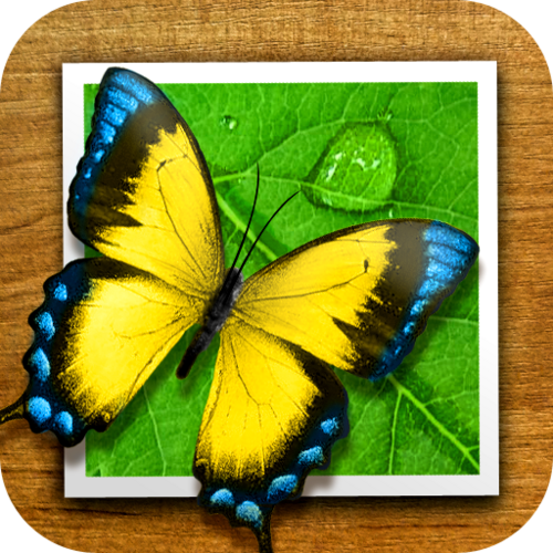 perfectphotoapp's profile picture. Most popular photo editing application on App Store. Powerful and extremely friendly in use.