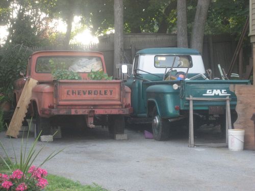 dr_frogy's profile picture. How not to work in one lesson: tweetering!