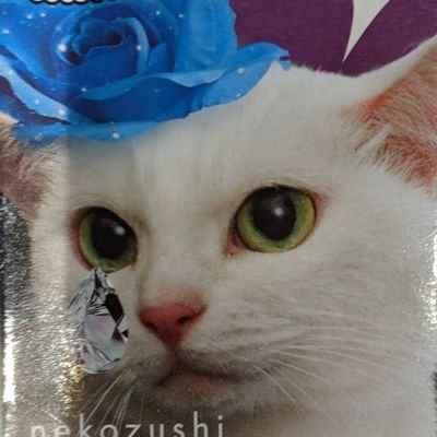 tyoups's profile picture. Animation enthusiast. Also works in animation.