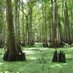 ESA Vegetation Section (@esavegetation) Twitter profile photo ESA Vegetation Section (@esavegetation) Twitter profile photo