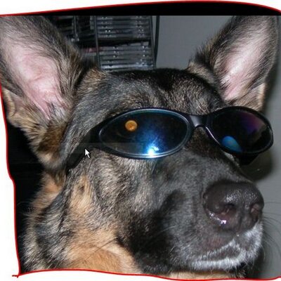 PanicDub's profile image