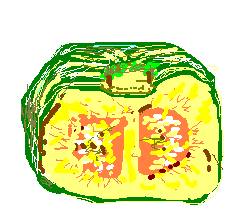 kabochaさんのプロフィール画像