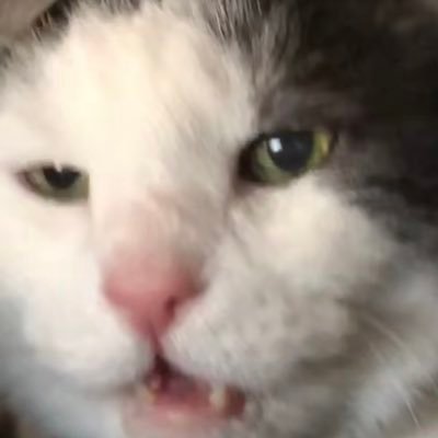 spunkysniffin's profile picture. sniffin ass