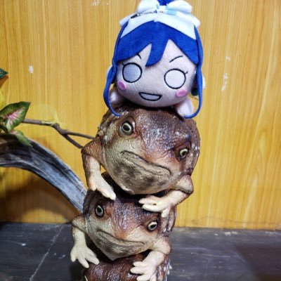 せーちゅんさんのプロフィール画像