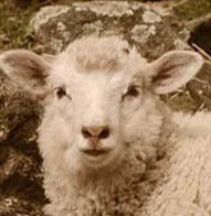 BerkshireStyle's profile picture. In and around the Berkshires * An online resource and magazine concentrating on events, design and style.