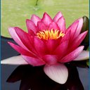 Theresa Jacobs - @tess_jacobs - Twitter