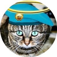 Betsy Blue Eyes (@tiglamig) 's Twitter Profile