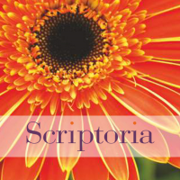 ScriptoriaTraining(@ScriptoriaT) 's Twitter Profile Photo