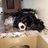 lisa_wagman's avatar