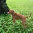 Cecelia Hinkle - @hinklebutt - Twitter