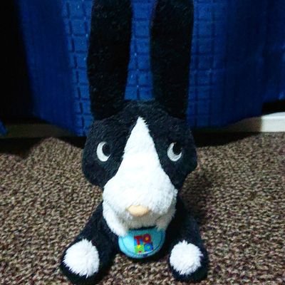 hirokiWeb1's profile picture. 