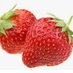 mfarmersmarket (@mfarmersmarket) Twitter profile photo mfarmersmarket (@mfarmersmarket) Twitter profile photo