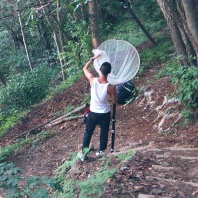 gorimushiya's profile picture. 動植物観察/昆虫採集/ビーチコーミング/標本/鉱物(化石)/嵐(推しは大野くん)/黒島結菜/無言フォロー失礼します