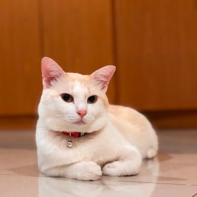 nora_yeop's profile picture. 12 Feb 2021 - “RAHSIA TUHAN”