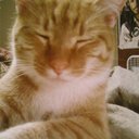 Kim Stoops - @desamona1579 - Twitter