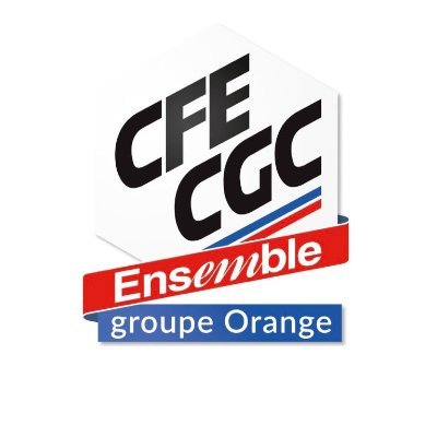 La CFE-CGC de la Direction Orange Grand Sud Ouest représente et défend l'ensemble du personnel du groupe @Orange,cadres et non cadres,fonctionnaires et salariés