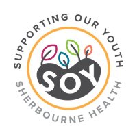 Supporting Our Youth (@soy_toronto) 's Twitter Profile