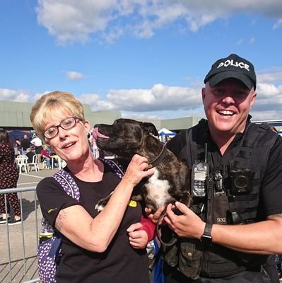 Cancer survivor. Animal lover.  #TeamFinn. AV geek. Mum to rescue cats Natalie & Clyde.