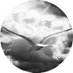 Criminal and Social Justice at Strathclyde (@crimsocjust) Twitter profile photo