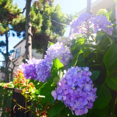 love_miliyah_'s profile picture. 