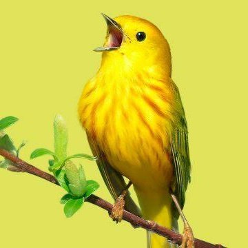 Byerdem11's profile picture. 🤔