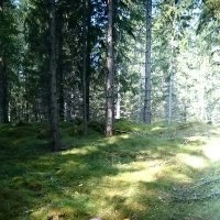 Simon (@simse92) 's Twitter Profile