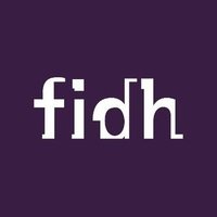 Business & Human Rights @FIDH(@BHR_FIDH) 's Twitter Profile Photo
